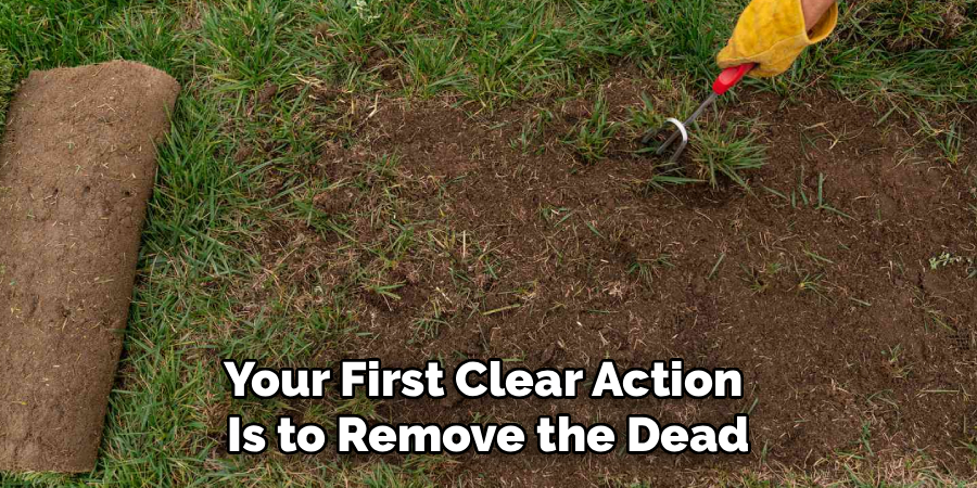 Your First Clear Action
Is to Remove the Dead
