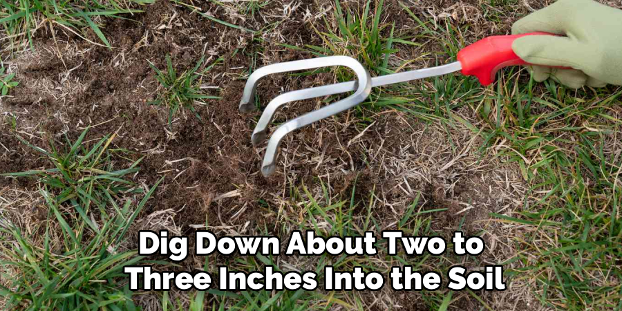 Dig Down About Two to 
Three Inches Into the Soil