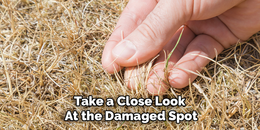 Take a Close Look
At the Damaged Spot