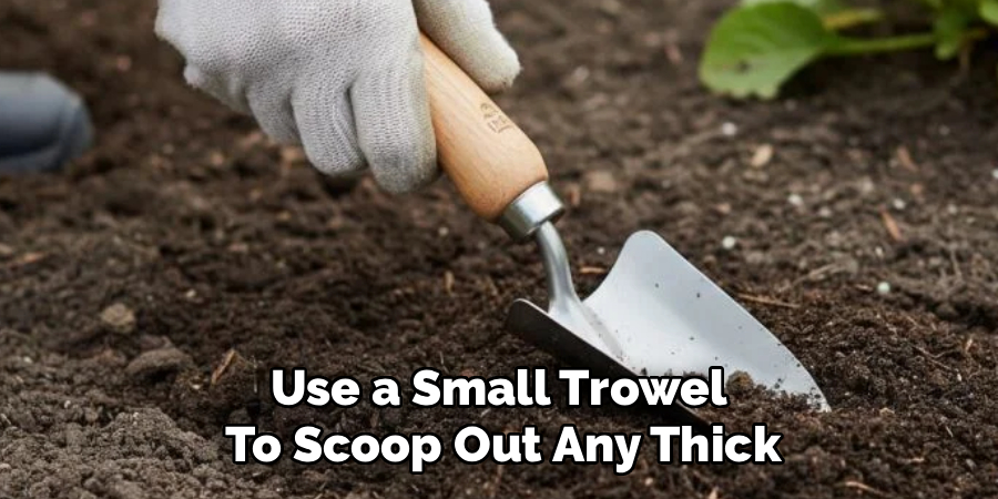Use a Small Trowel
To Scoop Out Any Thick