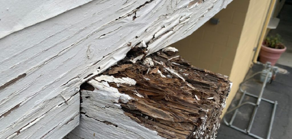 How to Repair Termite Damage Yourself