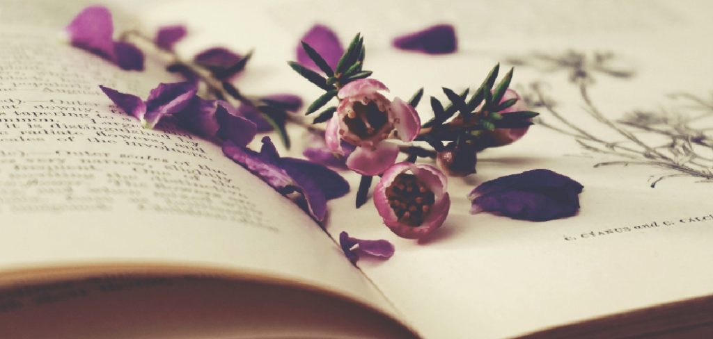 How to Repair Torn Pages in a Book