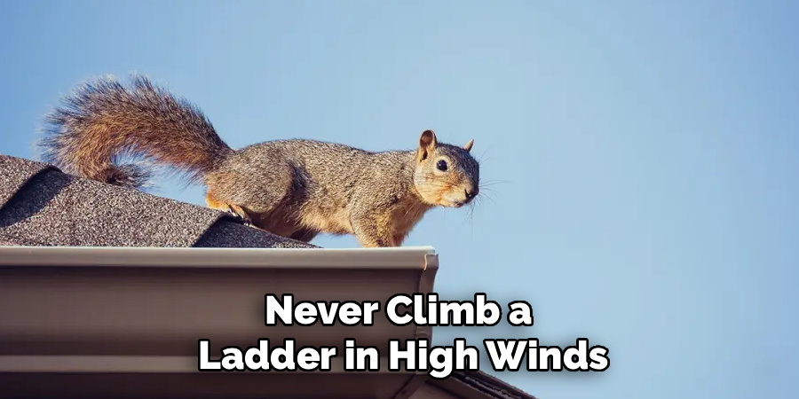Never Climb a 
Ladder in High Winds