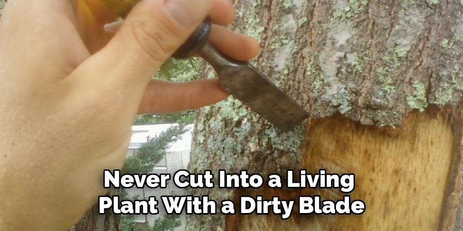 Never Cut Into a Living 
Plant With a Dirty Blade