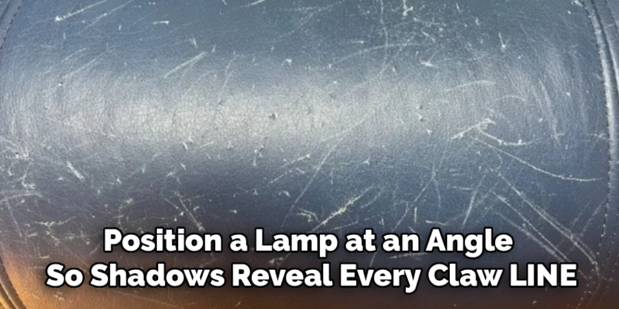 Position a Lamp at an Angle
So Shadows Reveal Every Claw LINE