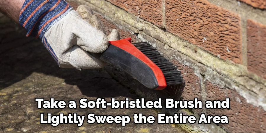 Take a Soft-bristled Brush and
Lightly Sweep the Entire Area