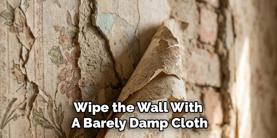 Wipe the Wall With 
A Barely Damp Cloth