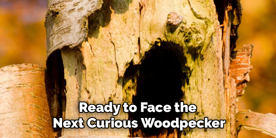 Ready to Face the 
Next Curious Woodpecker