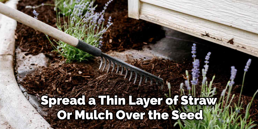 Spread a Thin Layer of Straw
Or Mulch Over the Seed
