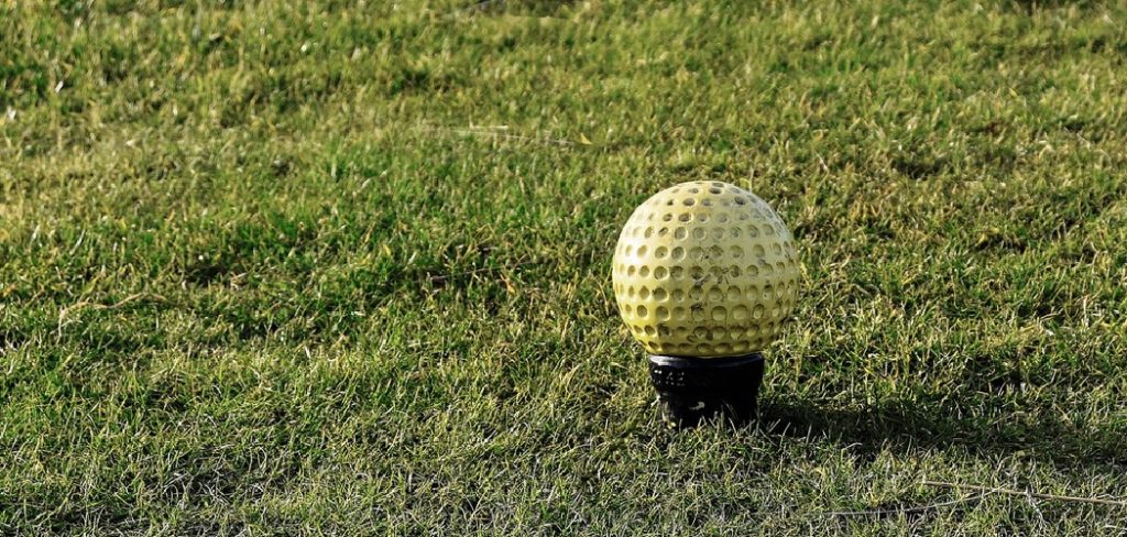 How to Repair a Ball Mark