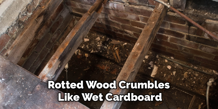 Rotted Wood Crumbles
Like Wet Cardboard